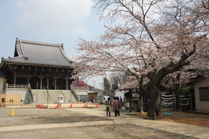 otakihudoukouen 020daiku.jpg